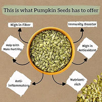 Roasted Pumpkin Seeds – Protein Rich Healthy Snack | Elite Organics